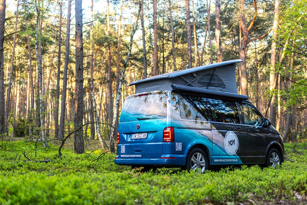 Купить Аренда автобуса VW California с функцией сна: отзывы, фото, характеристики в интерне-магазине Aredi.ru
