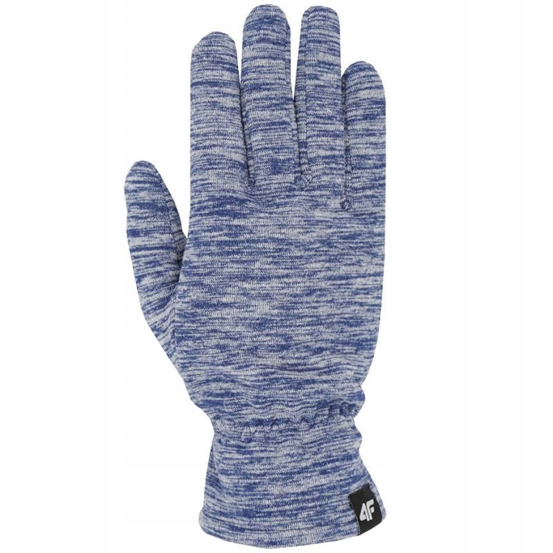 Rękawiczki zimowe 4F H4Z19 REU001 31M