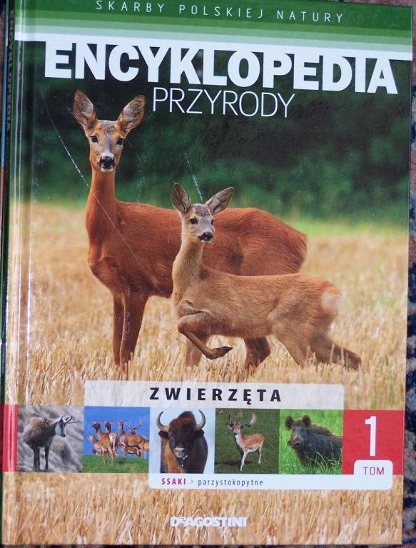 Encyklopedia przyrody - parzystokopytne