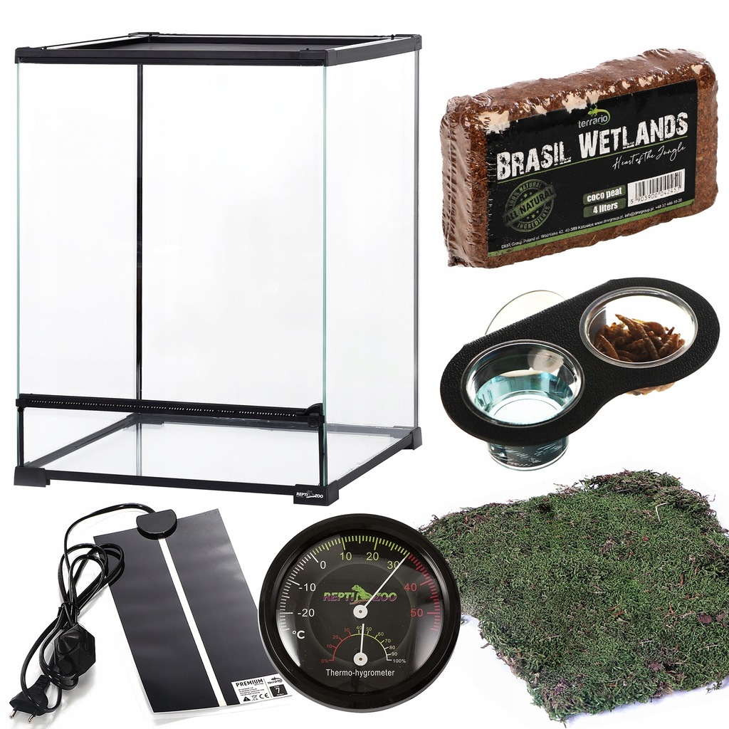 GEKON ORZĘSIONY CO KUPIĆ DO TERRARIUM?
