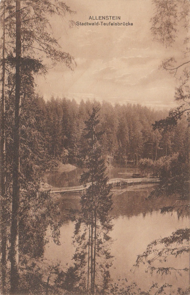 Olsztyn. Allenstein Stadtwald.