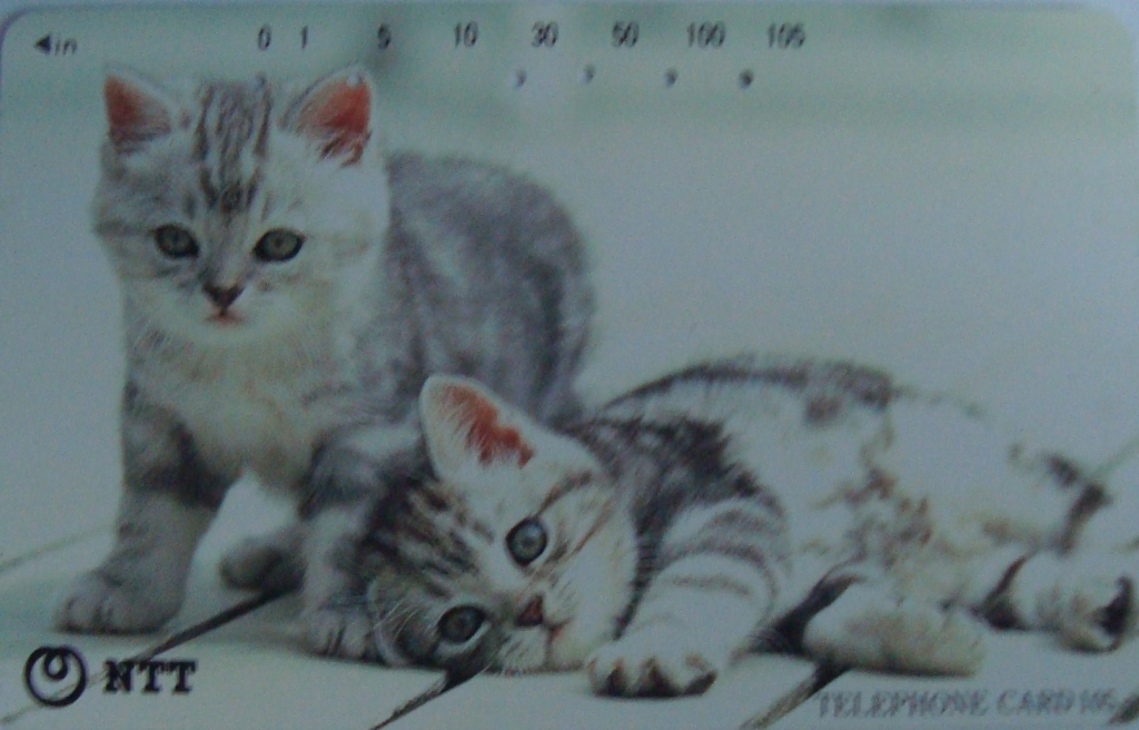 japońska karta telefoniczna z kotkami dla WOŚP