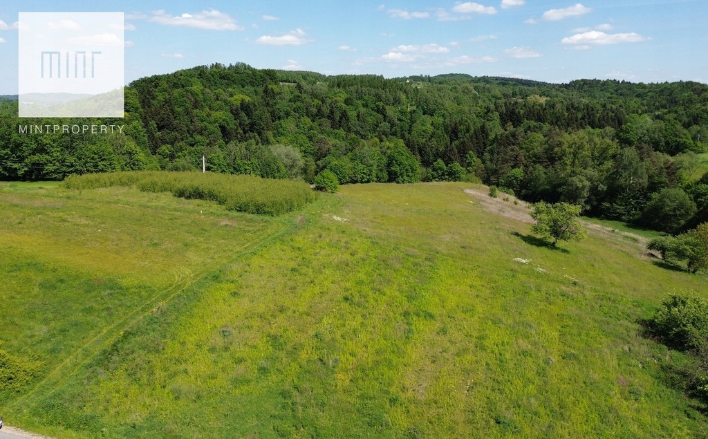 Działka, Siedliska-Bogusz, 27816 m²