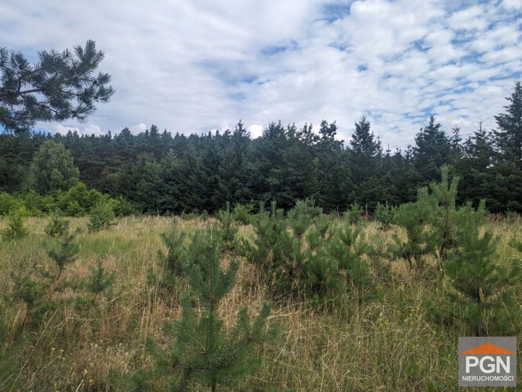 Działka, Oborniki, Oborniki (gm.), 15000 m²