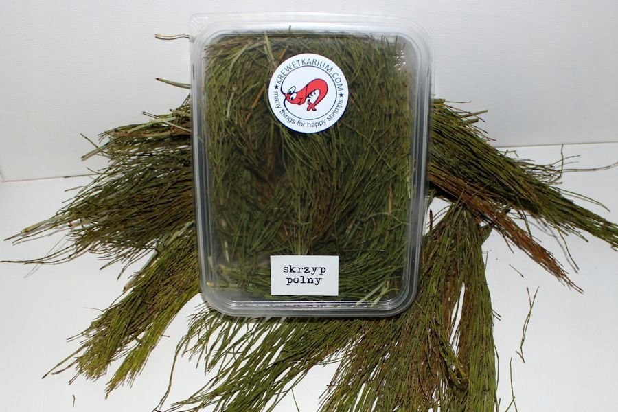 Krewetkarium.com Skrzyp Polny 1L dla Krewetek