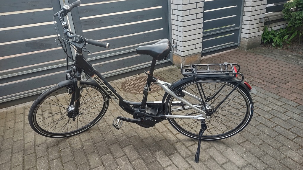 giant twist freedom dx