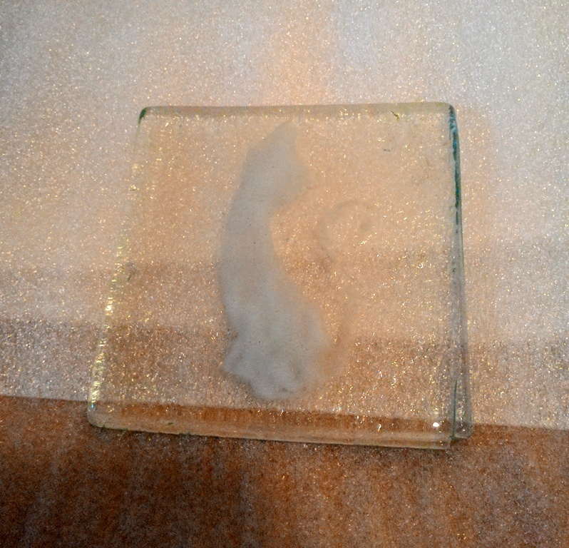 Szklana podkładka podstawka biały siedzący kot