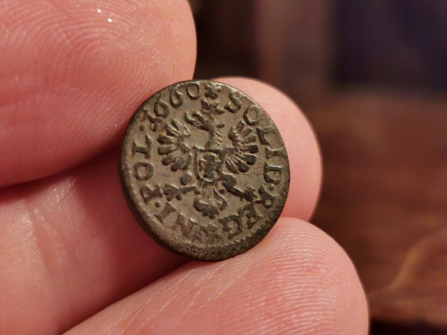 *a40* boratynka koronna 1660