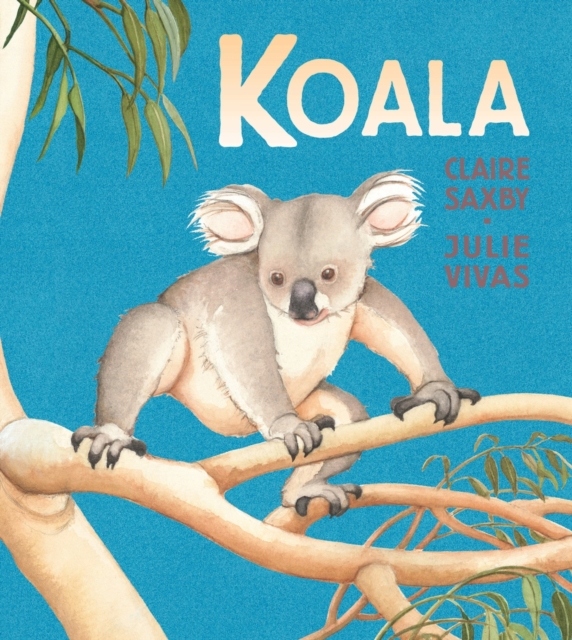 Koala CLAIRE SAXBY