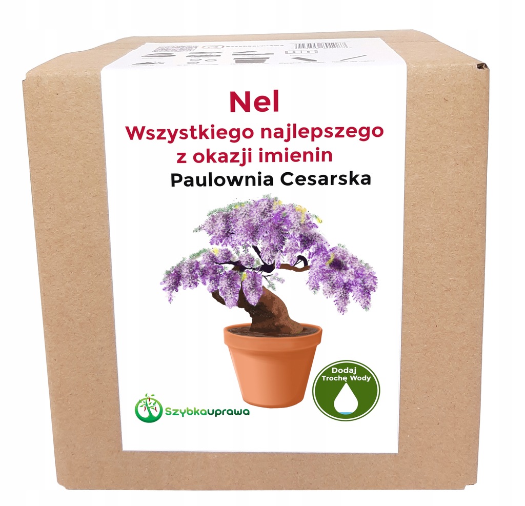 Zestaw do uprawy paulownia imieniny Nel