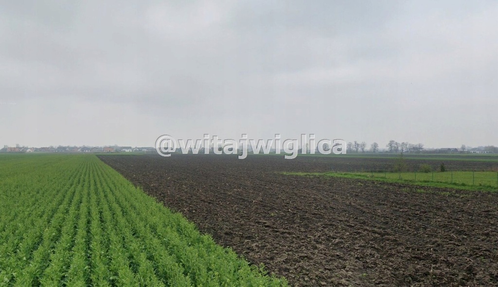 Działka, Żerniki Wrocławskie, 3001 m²