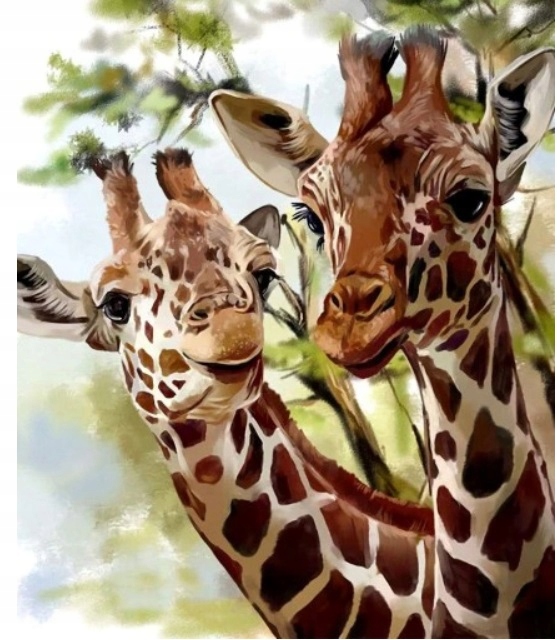 MALOWANIE PO NR ŻYRAFY DWIE