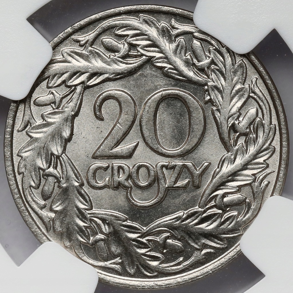 9429. 20 groszy 1923 - NGC MS67