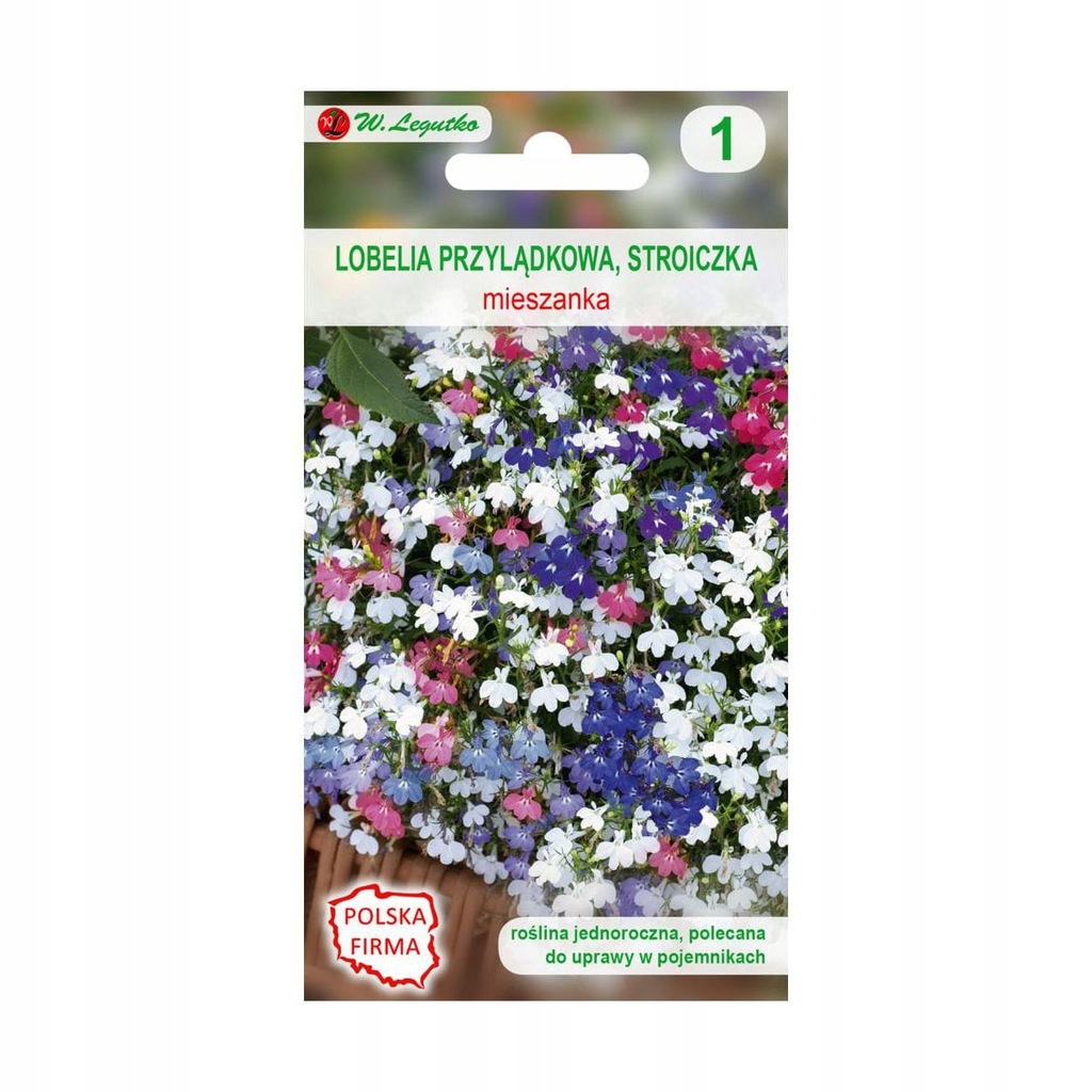 Lobelia przylądkowa (Stroiczka) MIESZANKA nasiona - 10220278468 ...