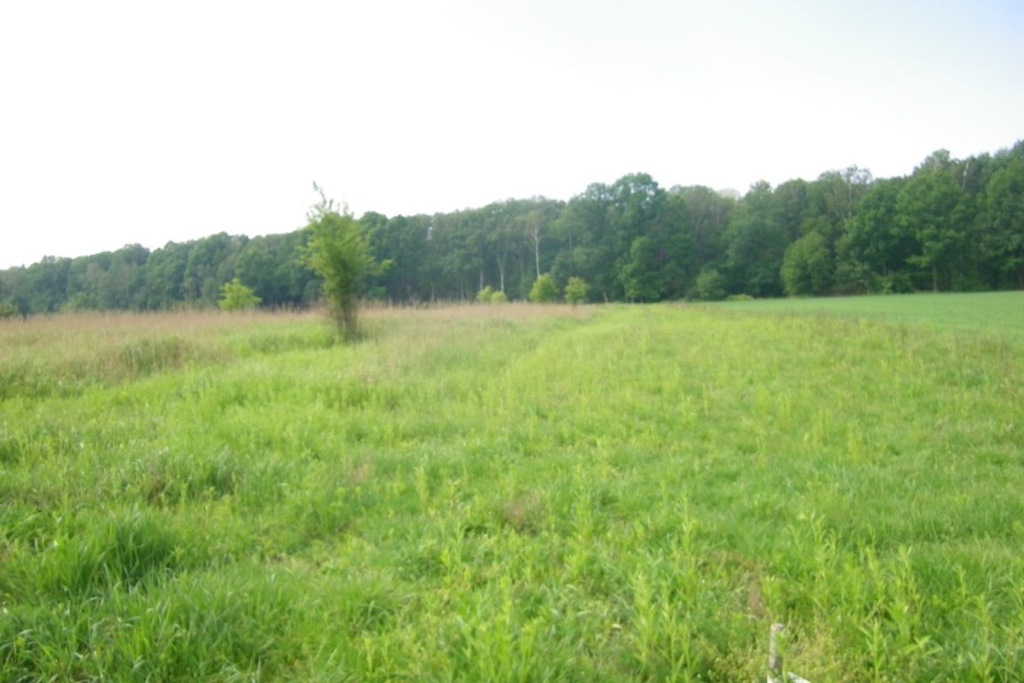 Działka Wielowieś, gliwicki, 760,00 m²