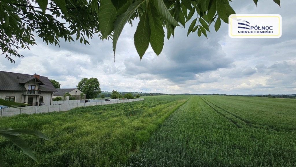 Działka, Wężerów, 15002 m²