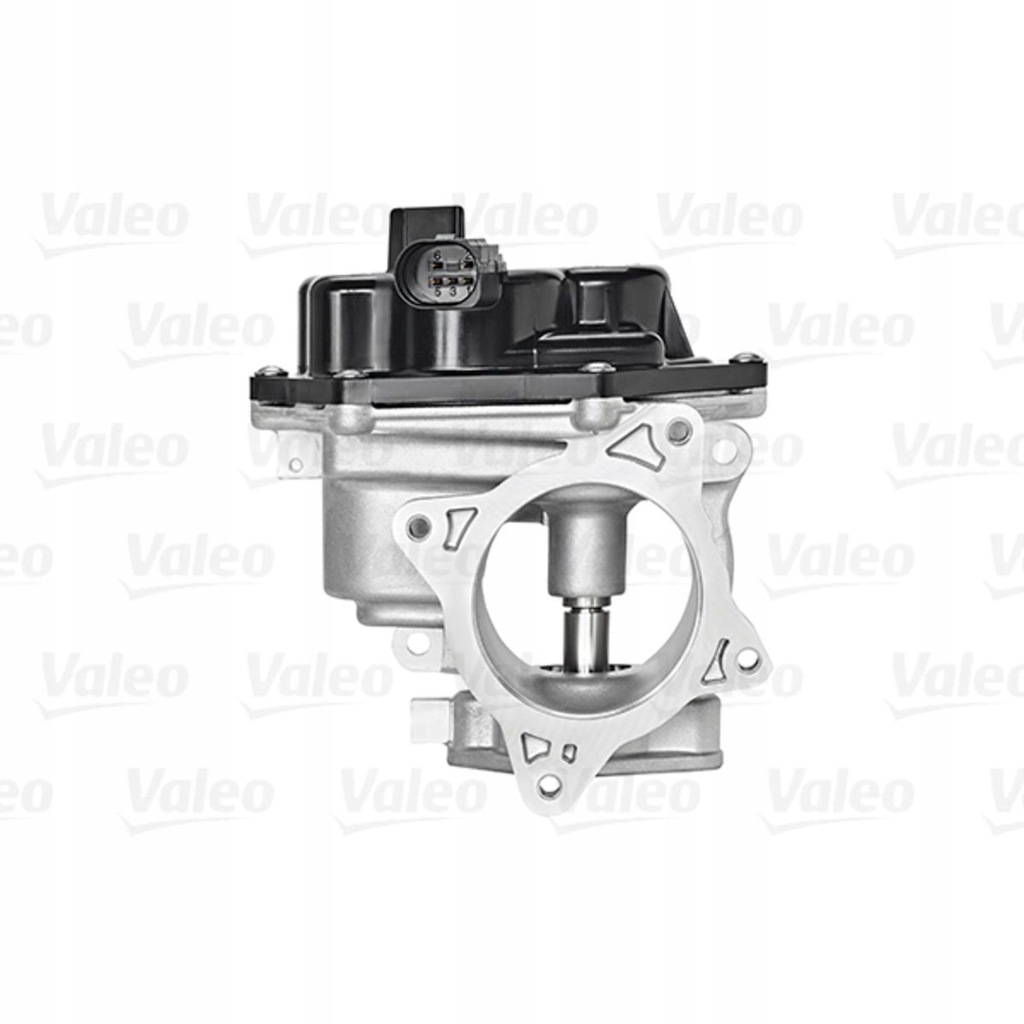 VW ZAWÓR EGR VALEO 700448