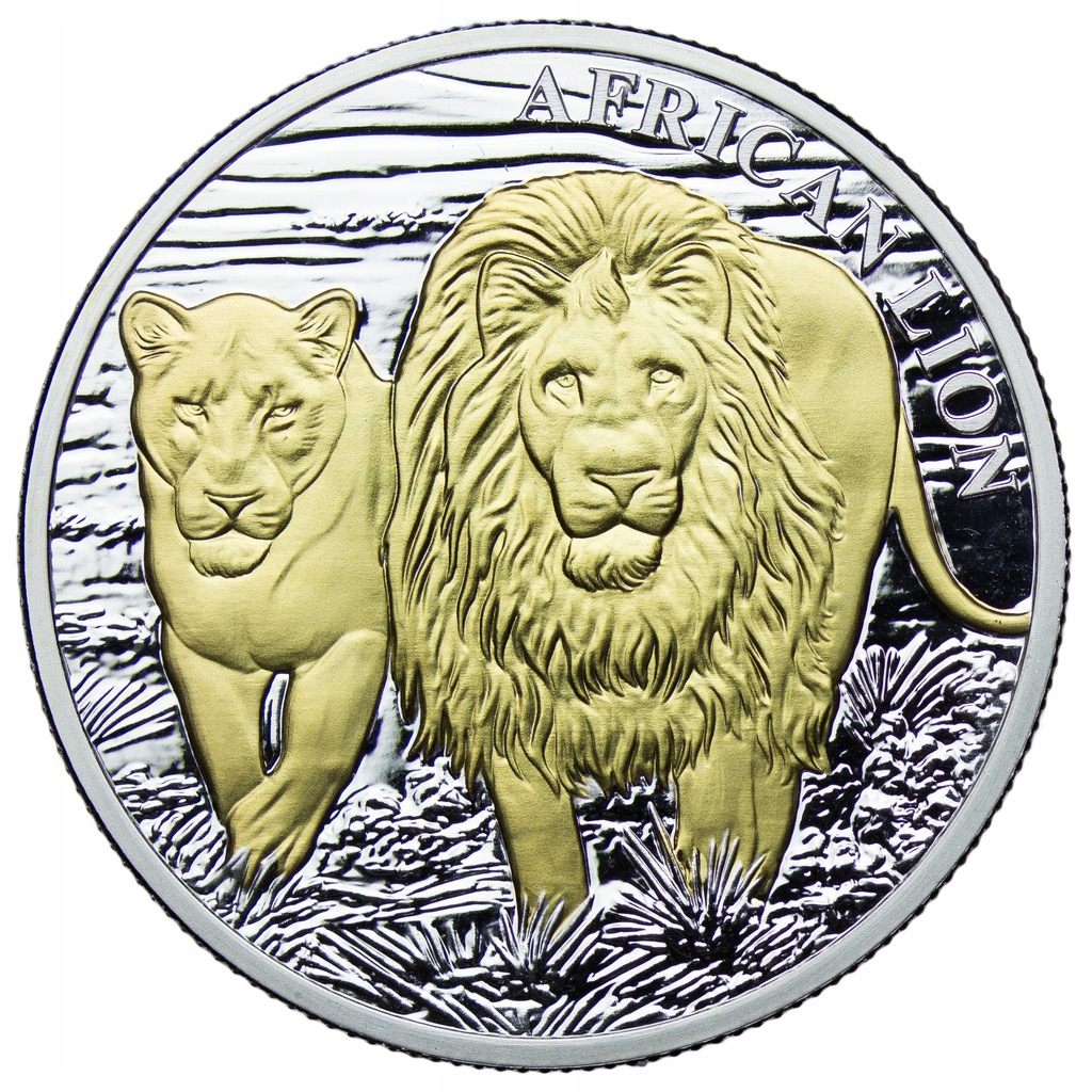 Kongo 5000 franków 2016, Lew Afrykański, złocenie, 1 oz Ag999, Stan L-