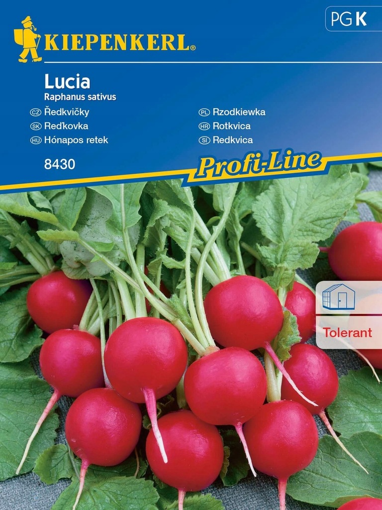 Rzodkiewka nasiona odmiana Lucia ODPORNA