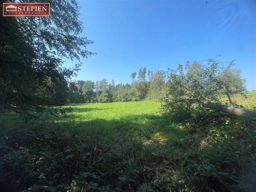 Działka, Jakuszowa, Paszowice, Jaworski, 8800 m²