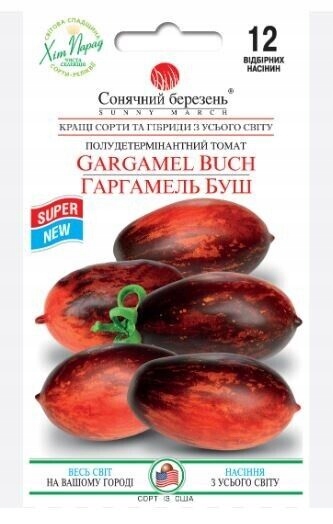 Pomidor Gargamel mnie zachwycił wyglądem i zdrow SOLANUM L przedsprzed24