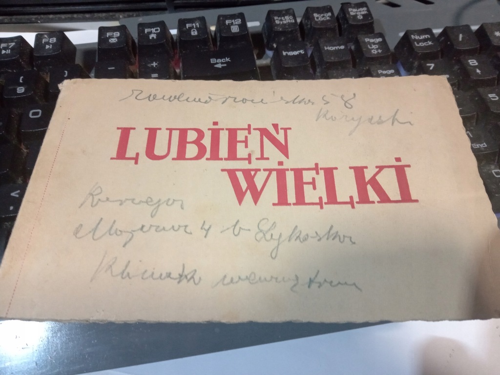 Stara Reklama Uzdrowisko Lubień Wielki k Lwów II RP