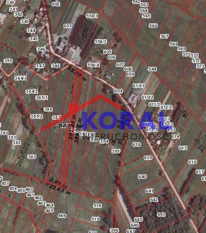 Działka, Skrzypiów, Pińczów (gm.), 8400 m²