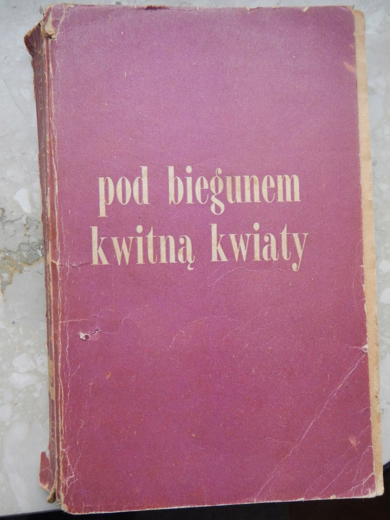 Pod biegunem kwitną kwiaty Liv Balstad