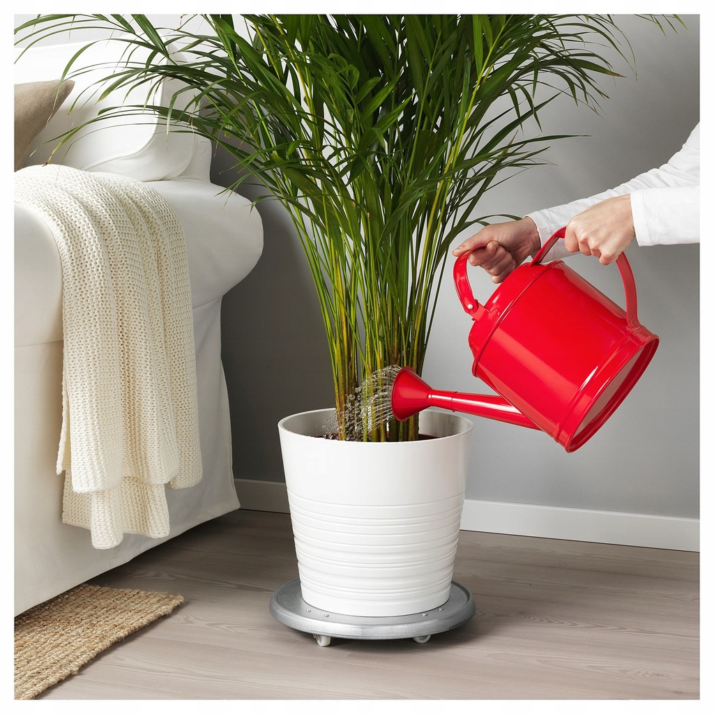 Купить Лейка ИКЕА СОКЕР красная 5л: отзывы, фото и характеристики на ...