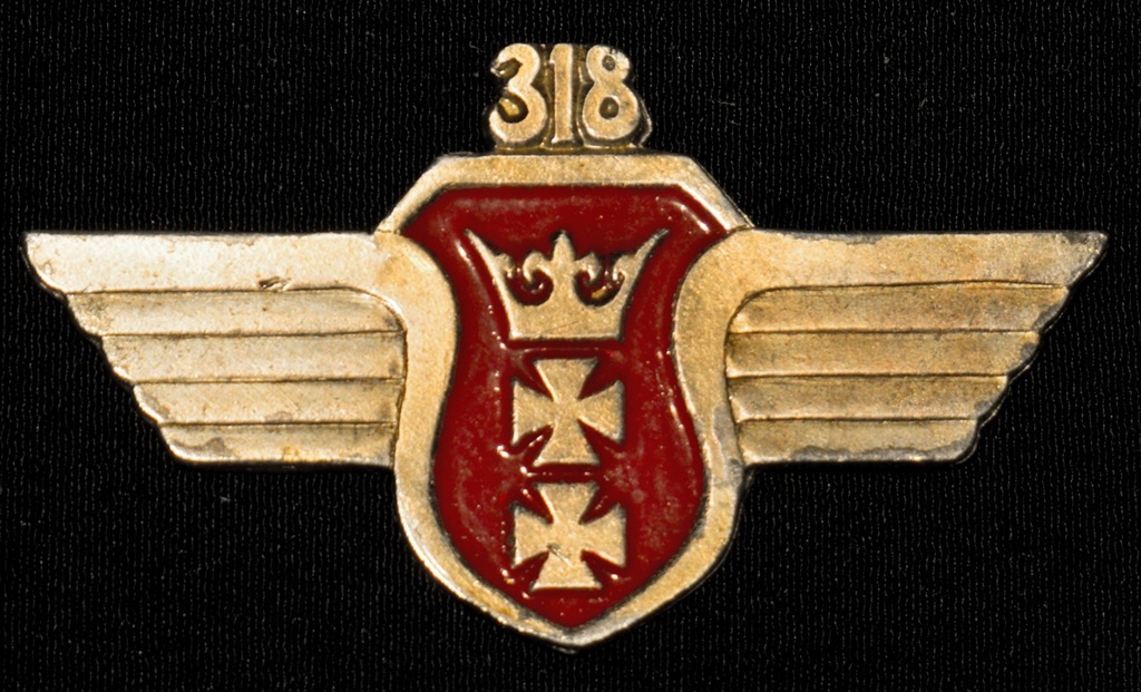 Odznaka Dywizjonu 318 kopia