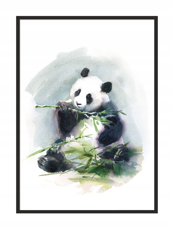 OBRAZ PLAKAT W RAMIE 33x43 cm Panda PD274