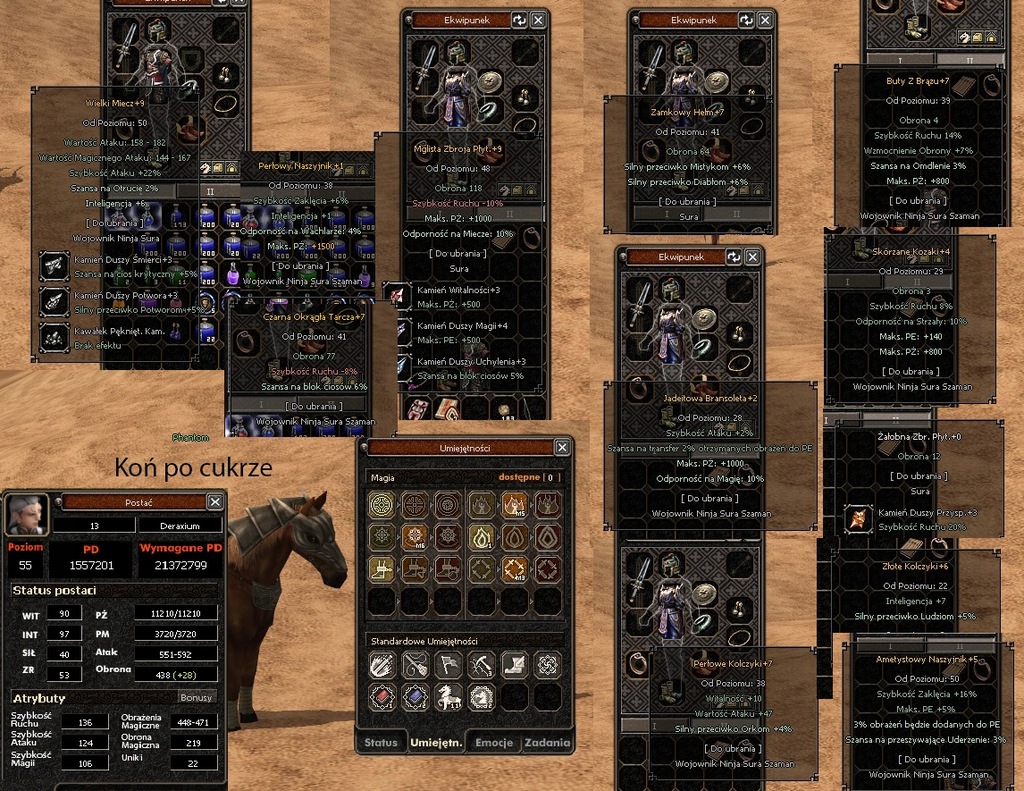 Metin2009 Sura BM 55 LVL + BUFF 36 LVL [Z FULL EQ] -11KK w EQ NA Postaci