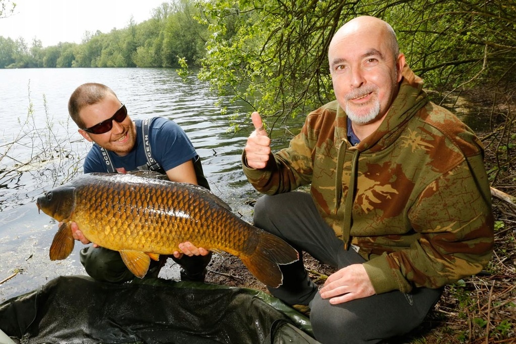 карп охлаждённый на белом фоне. желтый карп название. карп маленький. ропшинский карп. голодяевский пруд пензенской области рыбалка.