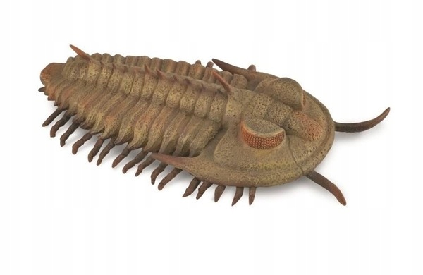 Figurka Redlichia Rex Trilobite