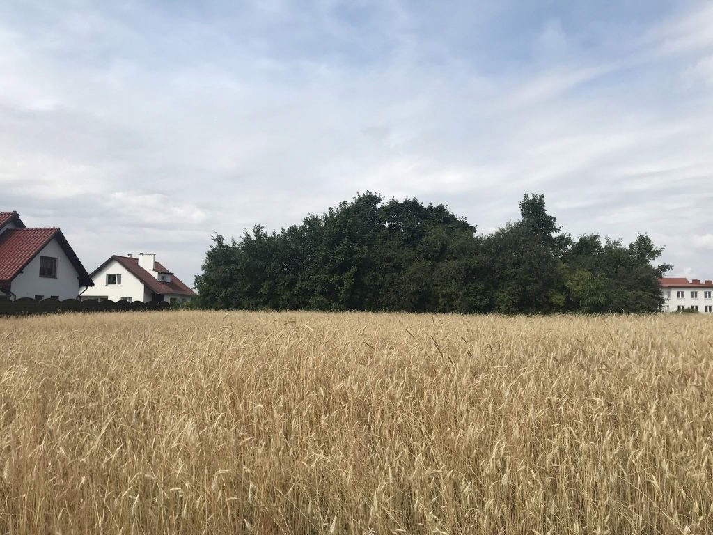 Działka, Chojnice, Chojnicki (pow.), 2341 m²