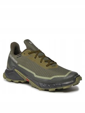 salomon Buty do biegania Alphacross 5 Gtx GORE-TEX 473103 29 W0 Zielony