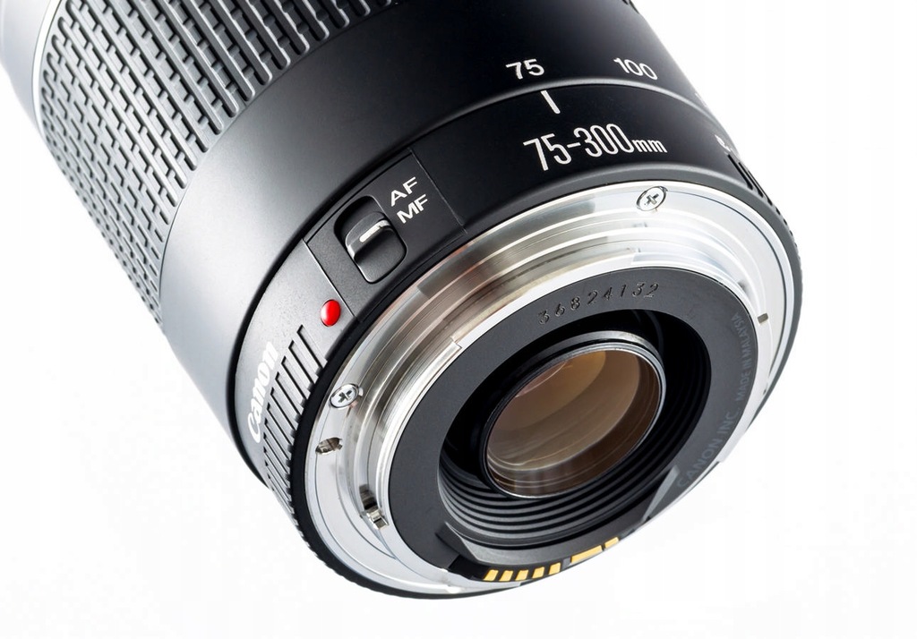 Canon EF 75-300mm F4-5.6 IS USM#1368 - レンズ(ズーム)