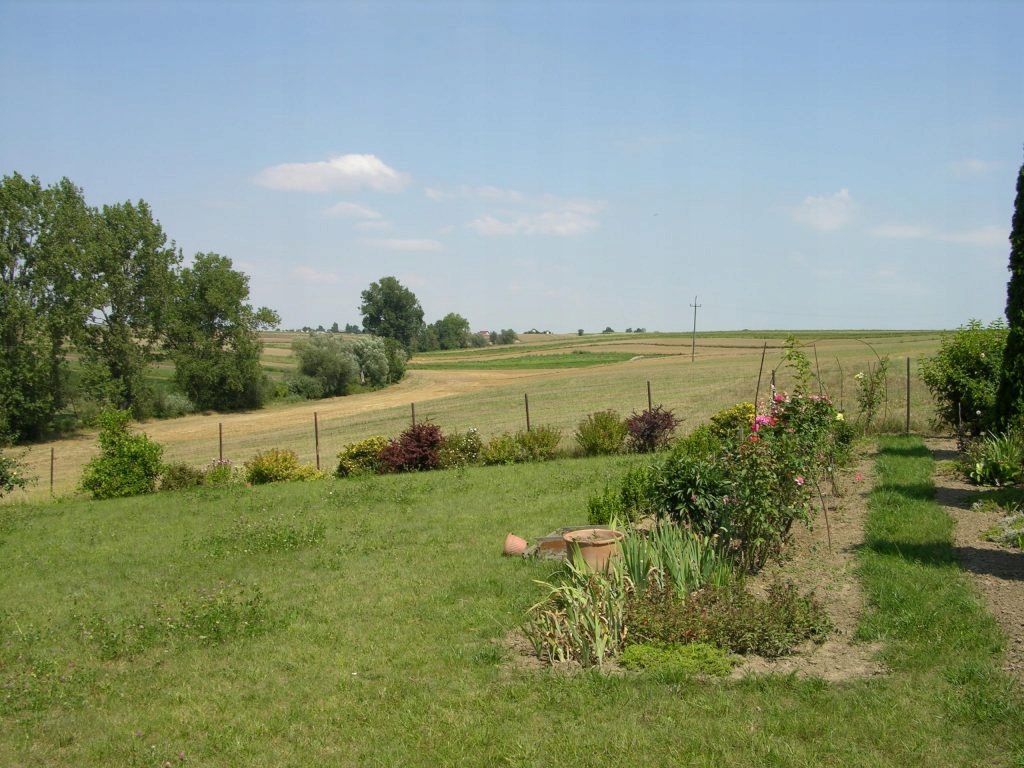 Działka, Opatkowice, Proszowice (gm.), 1705 m²