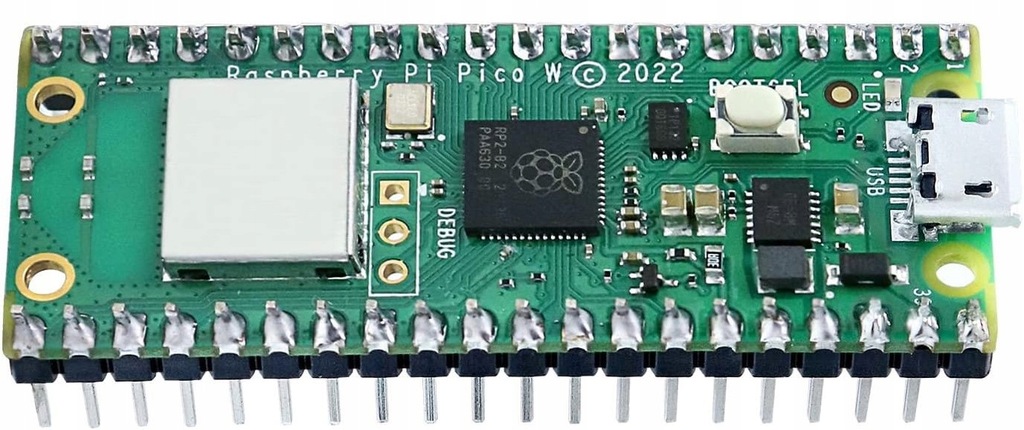 Raspberry Pi Pico W