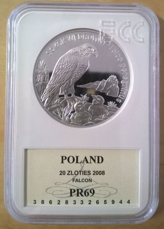 20 ZŁ 2008 SOKÓŁ WĘDROWNY GRADING PR69