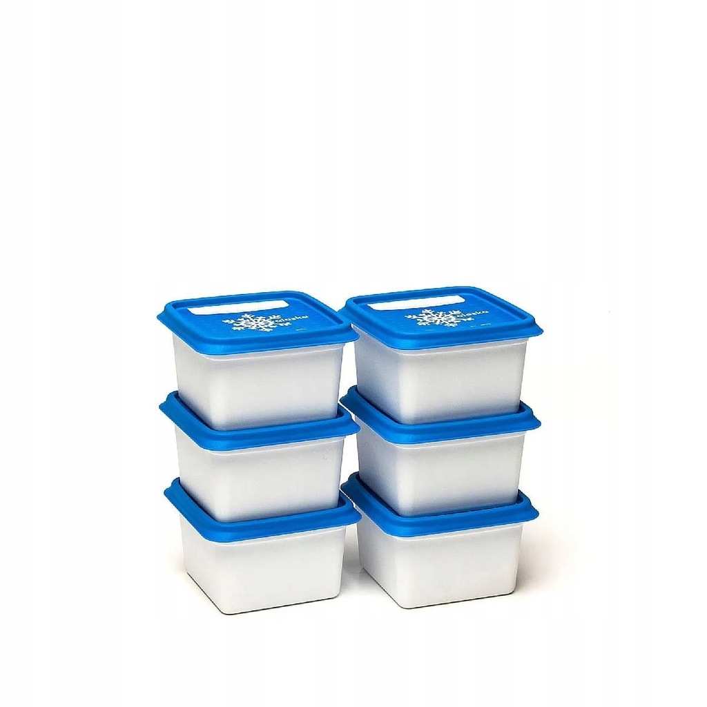 Pojemniki do zamrażarki Alaska 6x200ml Amuse