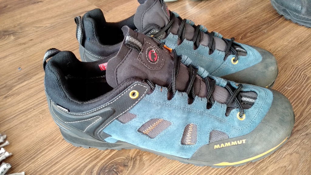 Mammut ayako low gtx men new arrivals