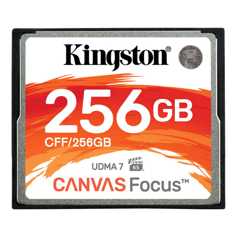 Купить KINGSTON Focus 256 ГБ CF Compact Flash, 150/130 МБ/с: отзывы, фото, характеристики в интерне-магазине Aredi.ru