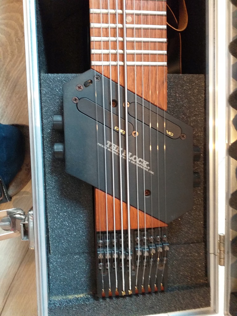 Chapman Stick 10strunowy 7764458629 oficjalne archiwum Allegro