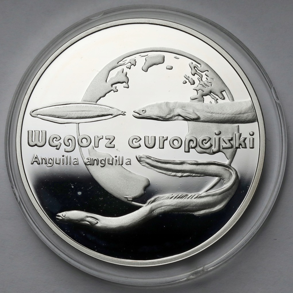 117. 20 zł 2003 Węgorz Europejski