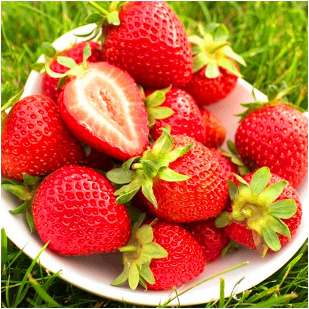 Truskawka Temptation smaczna i aromatyczna nasiona 0,03 g