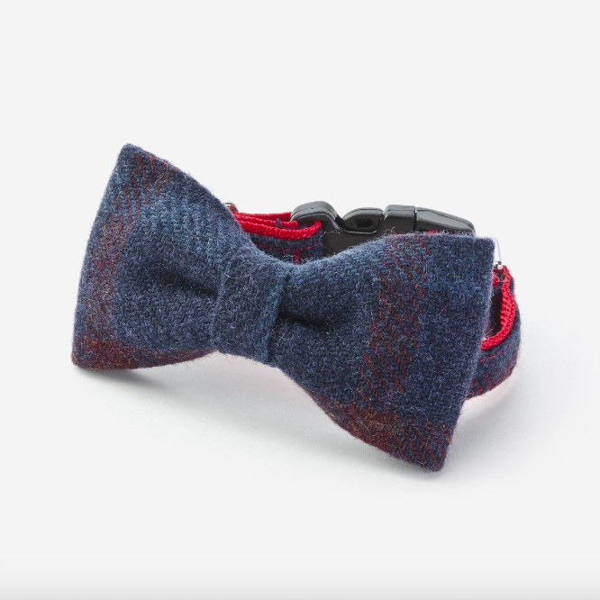 OBROŻA Z MUCHĄ DLA PSA GRRR DESIGN M