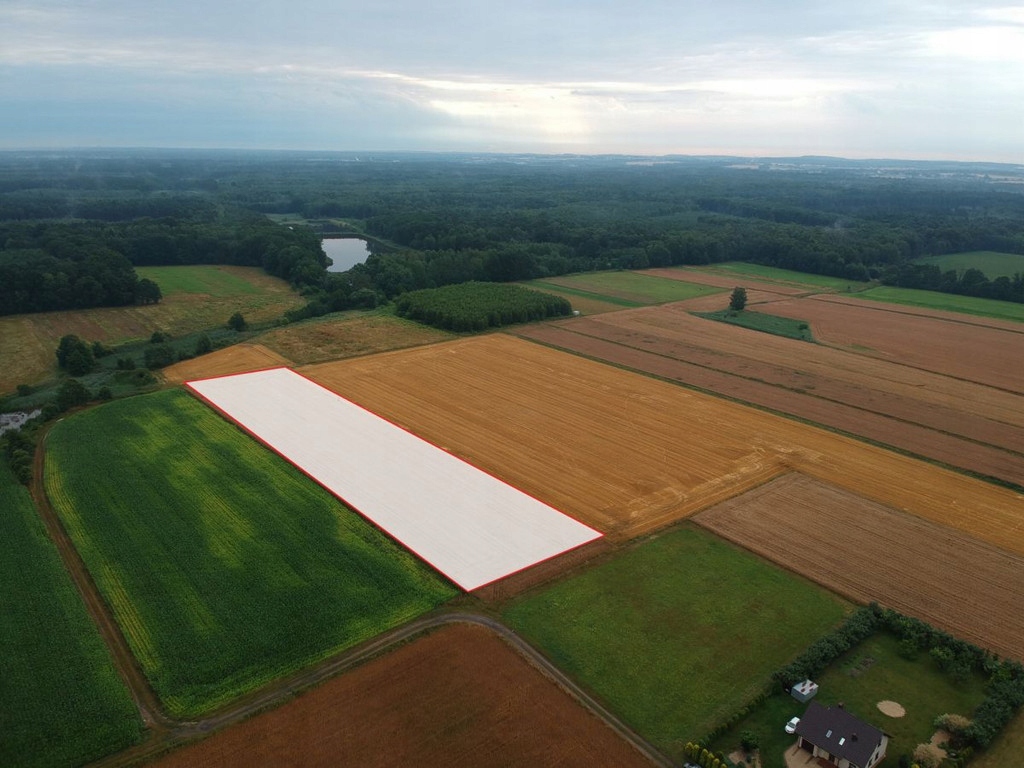 Działka, Połomia, Tworóg (gm.), 3100 m²