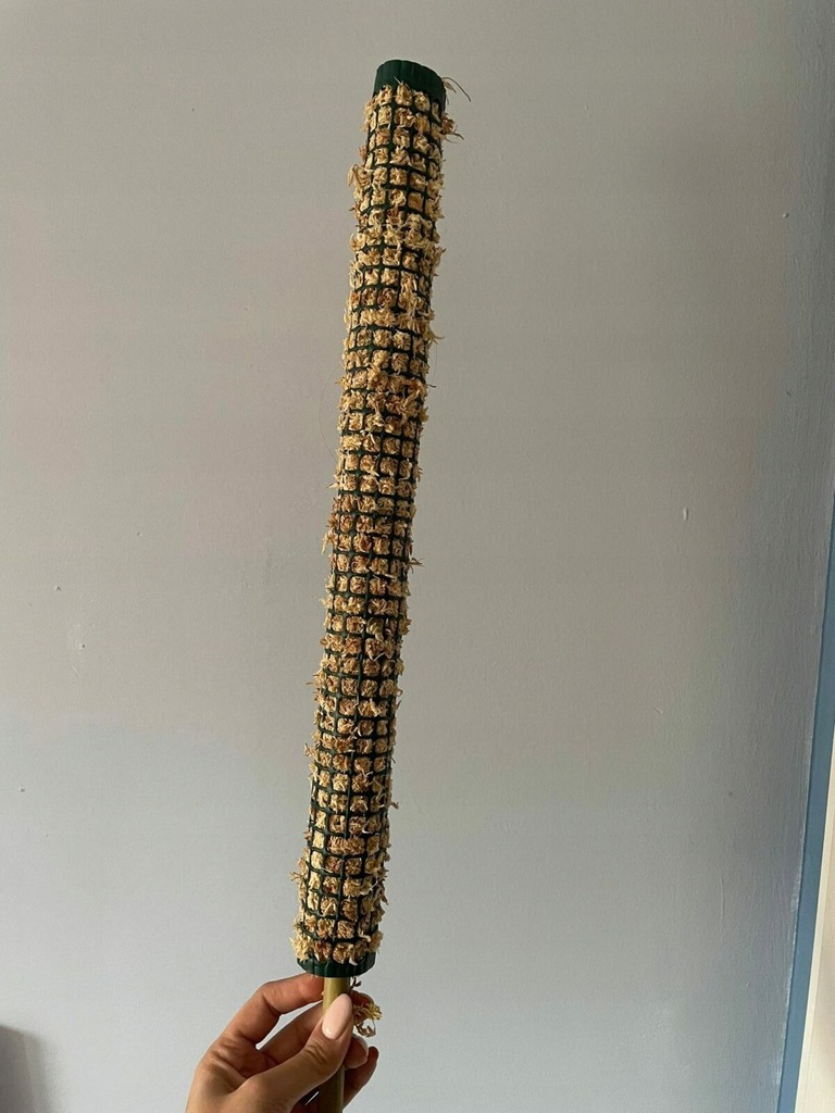 Palik z mchu Sphagnum 80cm Tyczka Bambus mech