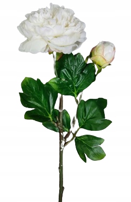 PIWONIA PEONIA biała duża 60cm gałązka z liśćmi PREMIUM komunia ślub wesele